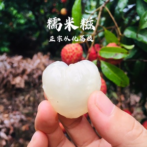 广州水果包邮新鲜特产