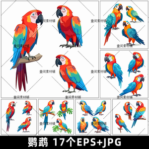 DW99手绘卡通小鸟类动物鹦鹉插画AI矢量设计素材图片