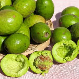 云南野水果新鲜克地佬咳地佬泡水泡酒腌制果脯橄榄克地老滇青果