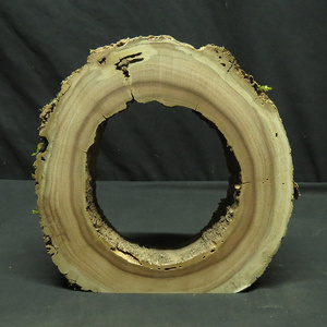 原木复古天然风化枯木树根雕空心木头圆圈底座随形工艺摆件中式禅