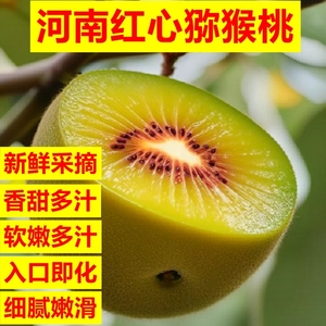 河南西峡农家红心猕猴桃即食奇异果新鲜水果香甜果园发货坏果包赔