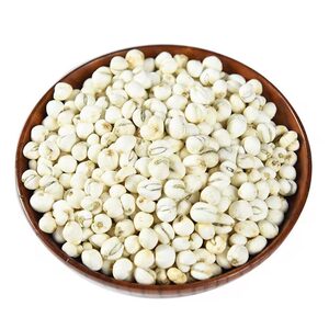 贝母 川贝 20g 川贝母  免费磨粉川贝