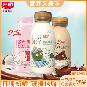 光明 巧克努力/巧克力250ml*24瓶牛奶饮品一只椰子荔枝白桃志包邮