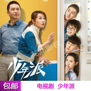 都市励志剧【少年派】电视剧dvd碟片光盘完整版张嘉译闫妮赵今麦
