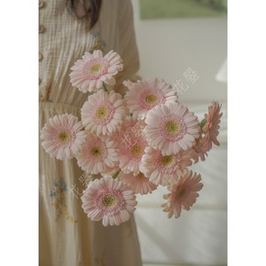 花曌 浅粉色小弗朗mini小弗朗花鲜切花真花鲜花水养家居瓶插花