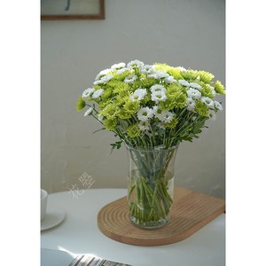花曌  【鲜花】【家居瓶插花】 绿精灵白绿色混搭小雏菊鲜花水养