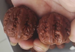 东北秋子 文玩核桃秋子 绣花鞋 粗筋 蚂蚁纹 精品 极品 秋子