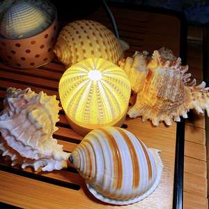 【可看实物 海胆可选色】6厘米灯座海胆灯 小号海螺灯 贝壳海螺灯