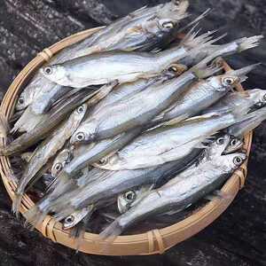 安徽太湖花亭湖特产 黄尾鱼红尾翘嘴白 咸鱼干味黄菇鱼