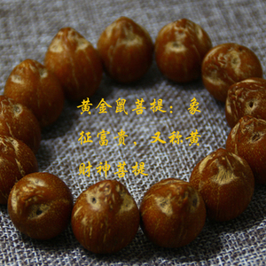 包邮天然精品招财鼠菩提子又名三眼紫金鼠手串18mm佛珠招财保平安