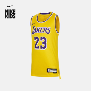 nike耐克官方男童洛杉矶湖人队nba詹姆斯大童男童速干球衣fz8625