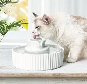 环球之光蛋糕陶瓷宠物饮水机猫咪健康活水自循环过滤ceramicfount