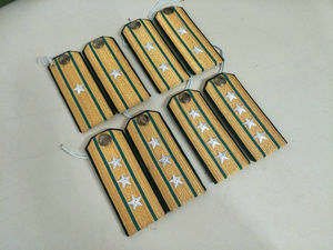 公安军校官肩章