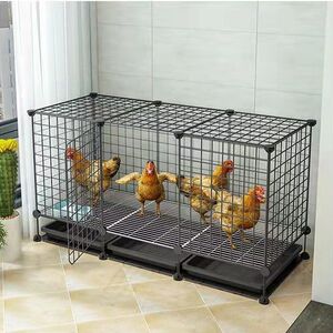 鸡笼家用大号特大阳台无臭家庭养户外养殖笼铁网组装鸭子鸡舍清粪