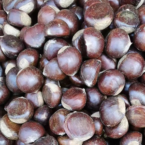 大别山特产湖北罗田麻城板栗子炒栗子2023年新鲜板栗子带壳 5斤装