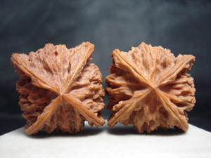 文玩核桃 鑫核源 4四棱楞边 异形型麻核桃 盘龙纹狮子头古玩把玩1