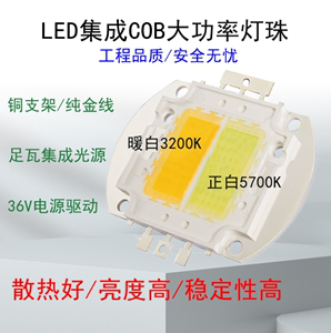 帕灯舞台灯面光灯LED光源 集成灯珠 COB100/150/200W/双色/单色