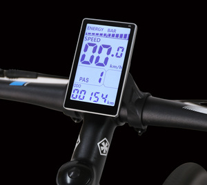 电动自行车锂电自行车LCD智能液晶显示器M5仪表36V48V60V