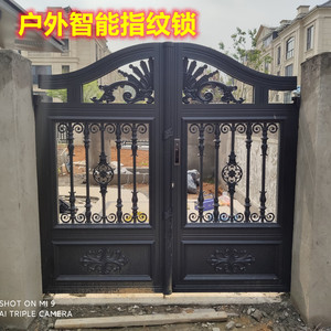 新款杭州电动遥控欧式农村家用别墅庭院子花园铝合金平移对开大门