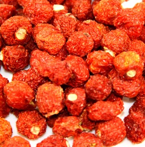 新鲜野生灯笼果