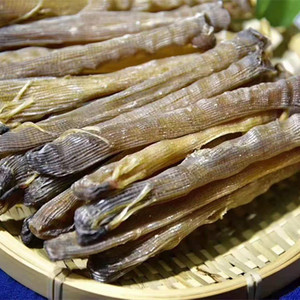 海之风南澳特级海产野沙虫干货海肠子渔家自挖晒虫100g/116元包邮