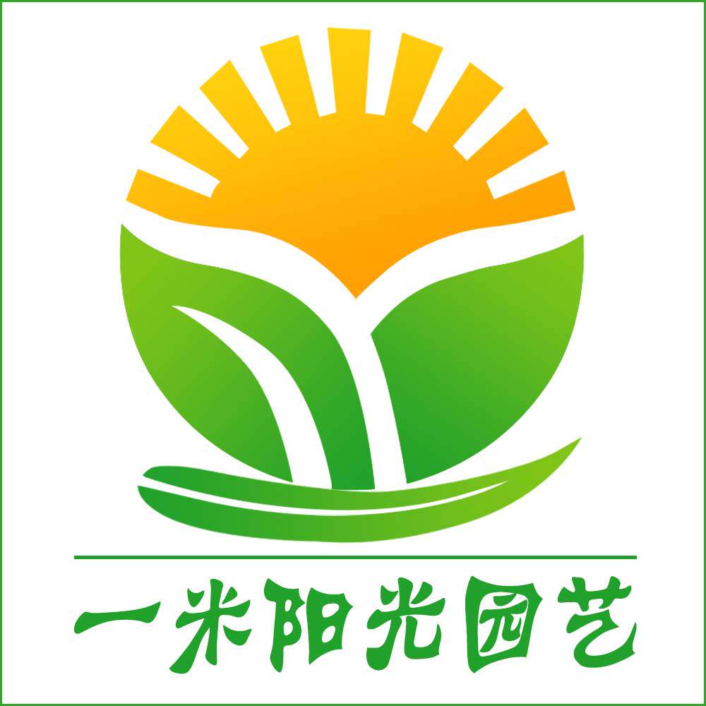 一米阳光园艺小店