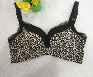 【姿立方】za6115 中厚ab杯 舒适透气聚拢调整型文胸豹纹性感