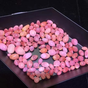 稀有海螺珠火焰纹加勒比海野生珍珠孔克珠收藏佳品