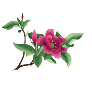 名古绣艺 苏绣刺绣diy套件初学手工桑蚕丝线绣花装饰画带针脚花卉