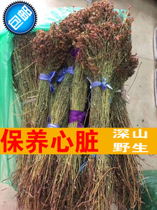 东北大兴安岭野生稳心草50克 鹿心草保养心脏 农家自采天然茶包邮