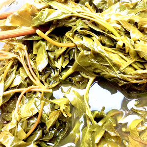 帕贡菜大树腌菜临沧泡菜耿马傣族泡菜云南美食特产小吃散装农产品