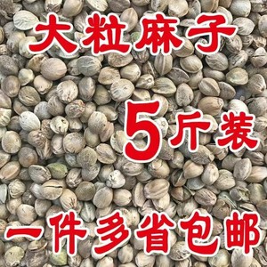 大颗粒麻子鸟食 鸟粮鹦鹉粮鸽粮麻籽 火麻仁仓鼠粮火麻子5斤包邮