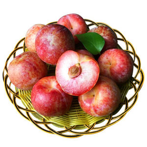 【澳洲凤凰李】澳洲凤凰李品牌,价格 - 阿里巴巴