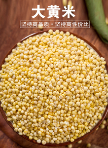大黄米超粘糯包粽子专用粟米软糯黄米粘豆包黄米黍米五谷杂粮粥