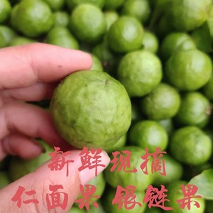 新鲜现摘仁面果当天摘当天发银链果仁稔银稔银连果长人面果人面子