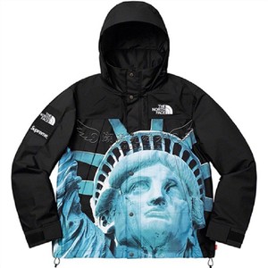 supreme19fw北面联名statue of liberty 自由女神冲锋衣夹克外套