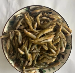 山坑鱼新鲜速冻山根鱼小鱼仔600g河鲜小鱼含冰饭店半成品预制菜