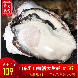 【5斤刺身级活生蚝】乳山特大号生蚝牡蛎鲜活新鲜带壳生吃海蛎子
