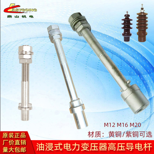 电力变压器高压导电杆10-35KV瓷瓶套管配套紫铜接线端柱M12M16M20