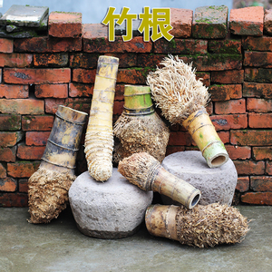 毛竹根新鲜毛竹楠竹根竹料带泥土不伤根雕刻原材料老根金蟾料竹料