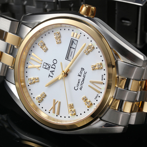 原装天舵正品商务休闲手表全自动机械男表精钢防水腕表镂空男士表