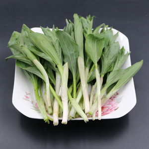 长白山野菜山糜子菜野生九层楼盘龙七东北野山菜500g2斤包邮