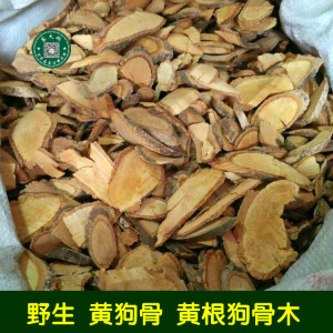 lizi18668560616淘宝狗骨根中药材黄根 枸骨根  枸骨木,白狗骨,黑根