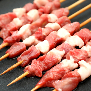 内蒙古肉质鲜嫩品质好烧烤野炊露营大串郓佳羊肉串 20g*30串*10包