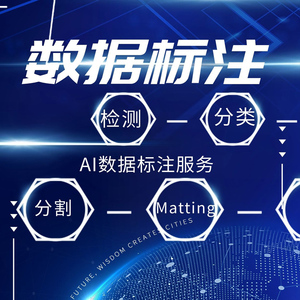 数据标注团队深度学习物体识别图片拉框图像数据集分类定制