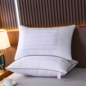 五星级酒店荞麦枕头枕芯保健护颈椎枕头单面荞麦壳枕头一对单人枕