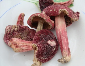 红蘑菇 红松蘑 红肉蘑菇250g