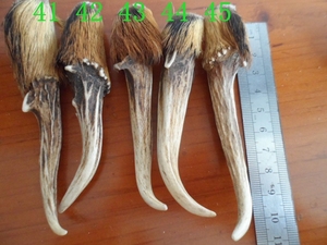 麂子角挂件