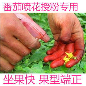 农圣及时雨淘宝及时雨安易果 番茄圣女果喷花蘸花点花坐座果 西红柿