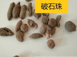 中药材 土栾儿 九牛子 破石珠 鸡生旦 九子羊 低栗子500g